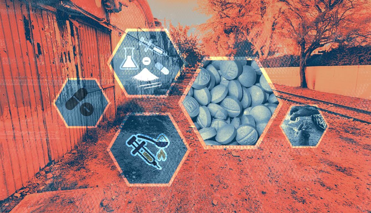 Victoria Dittmar tweet media