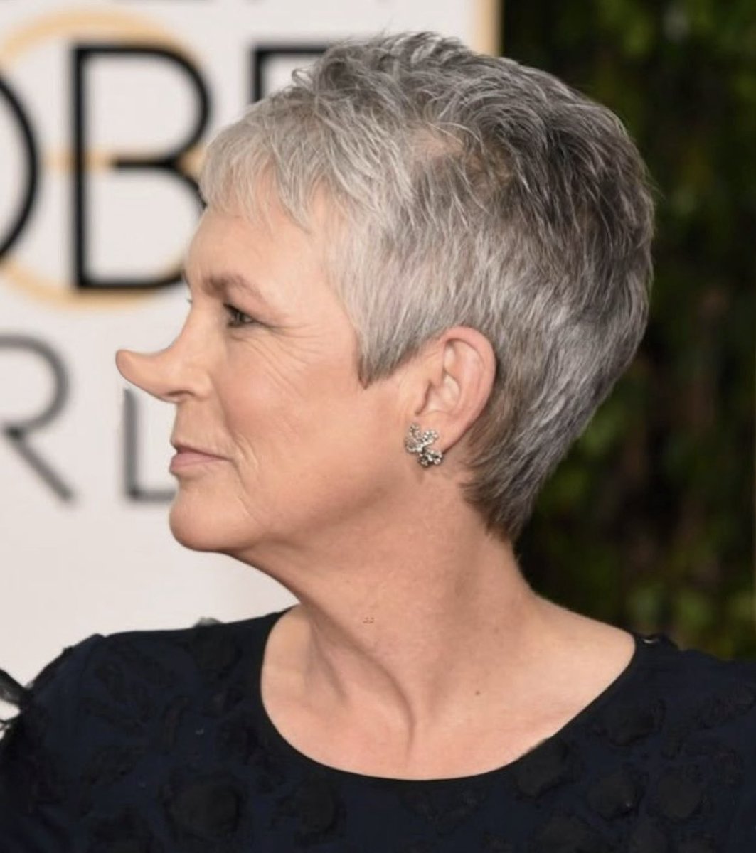 hennissement tweet media