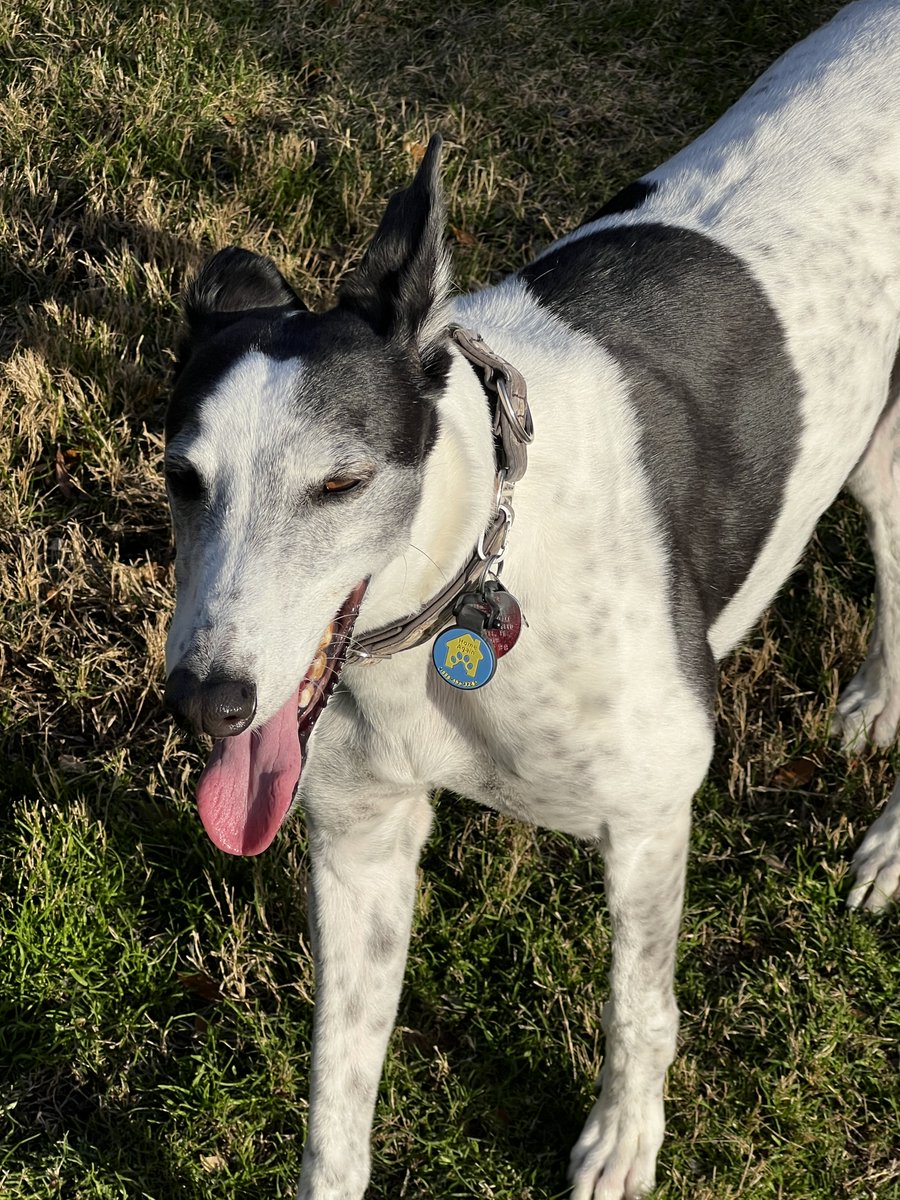 David Moore tweet media