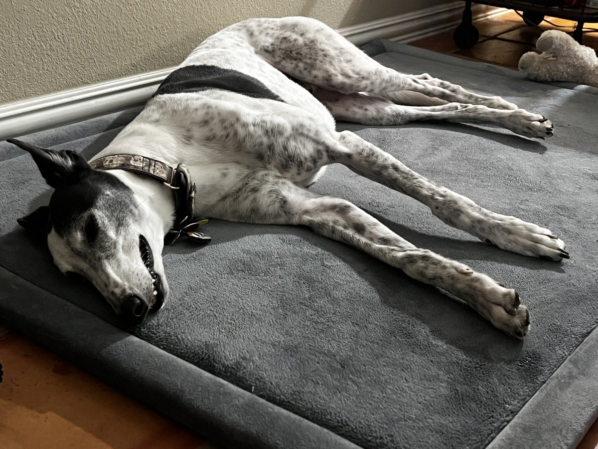 David Moore tweet media