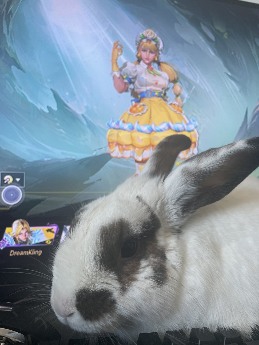 ﴾ BJ ﴿‏ tweet media