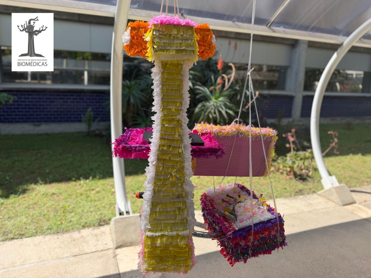 biomedicasunam's tweet photo. 🪅Confocalizando neuronas | 👍🗳Vota por tu favorita dejando tu like.
Tercer Concurso de Neuropiñatas de la Semana del Cerebro Biomédicas 2026 🧠 | #BrainAwarenessWeek #BrainWeek https://t.co/GvJSCcL7ol