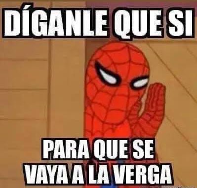 Hadrianus ⚔️🥊 tweet media