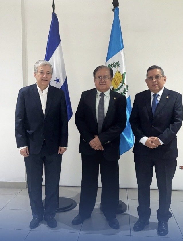 MinexGt's tweet photo. 🇬🇹🇭🇳 | Guatemala y Honduras impulsan cooperación energética.

#NotaDePrensa 🔗 https://t.co/Kzw6WYlM0A https://t.co/CRseHQOAhr