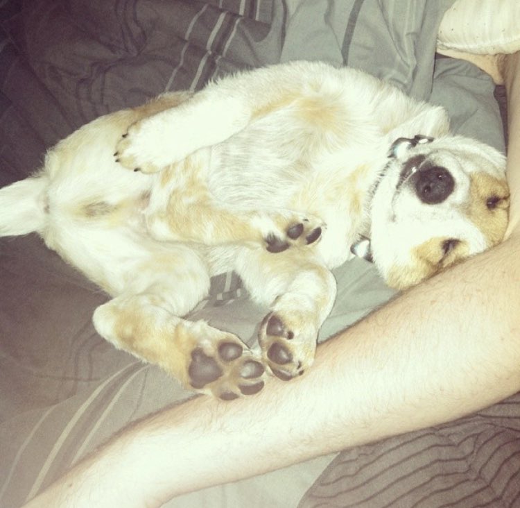 LUͦʷCͦK 🔜 LVFC tweet media