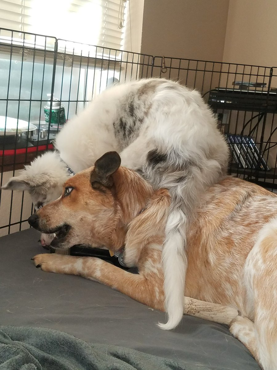 LUͦʷCͦK 🔜 LVFC tweet media