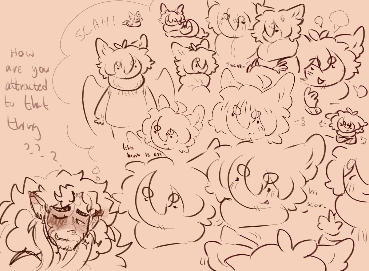 ✦ shiloh 🐇🕊️ tweet media