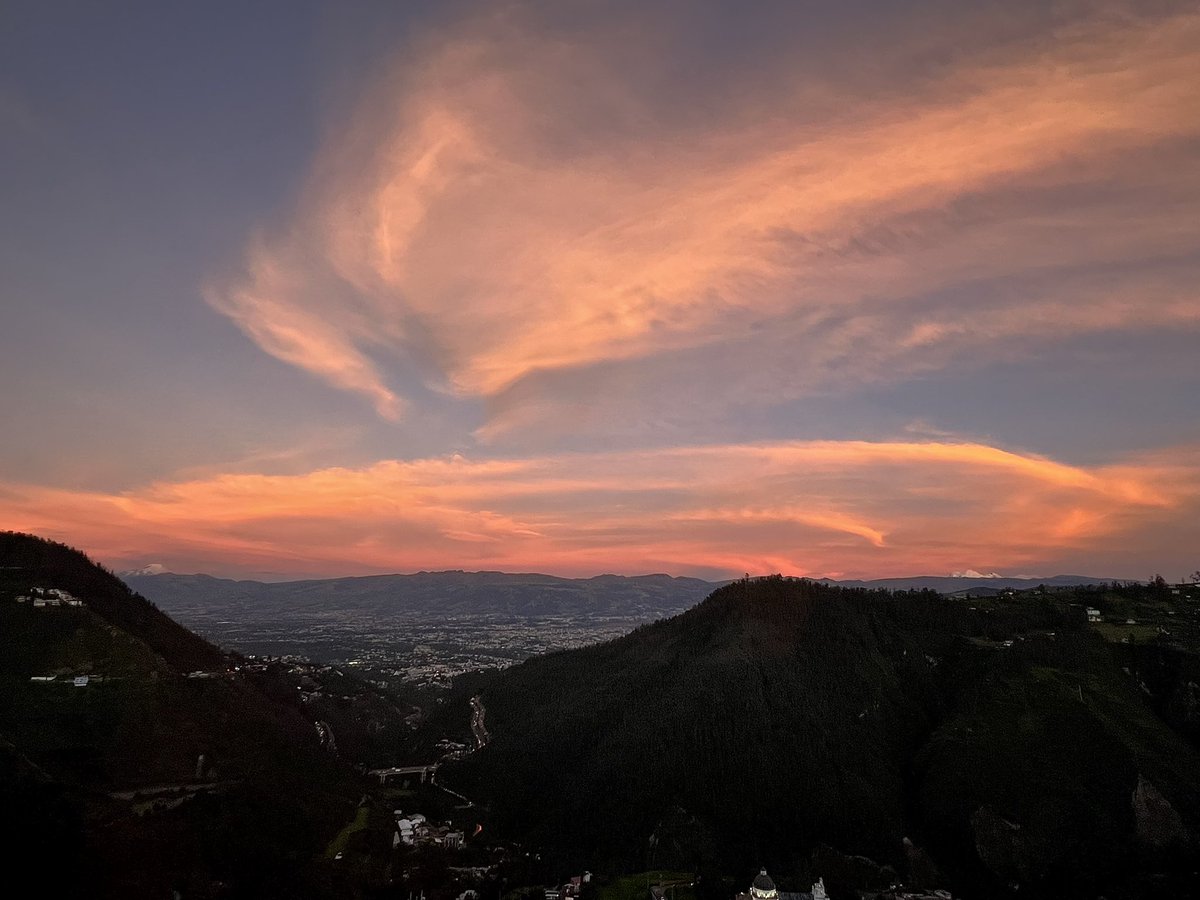 Juan Pablo Morales tweet media