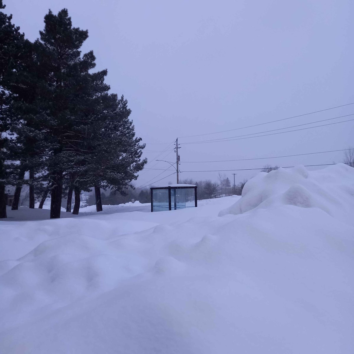 ۟saturn tweet media