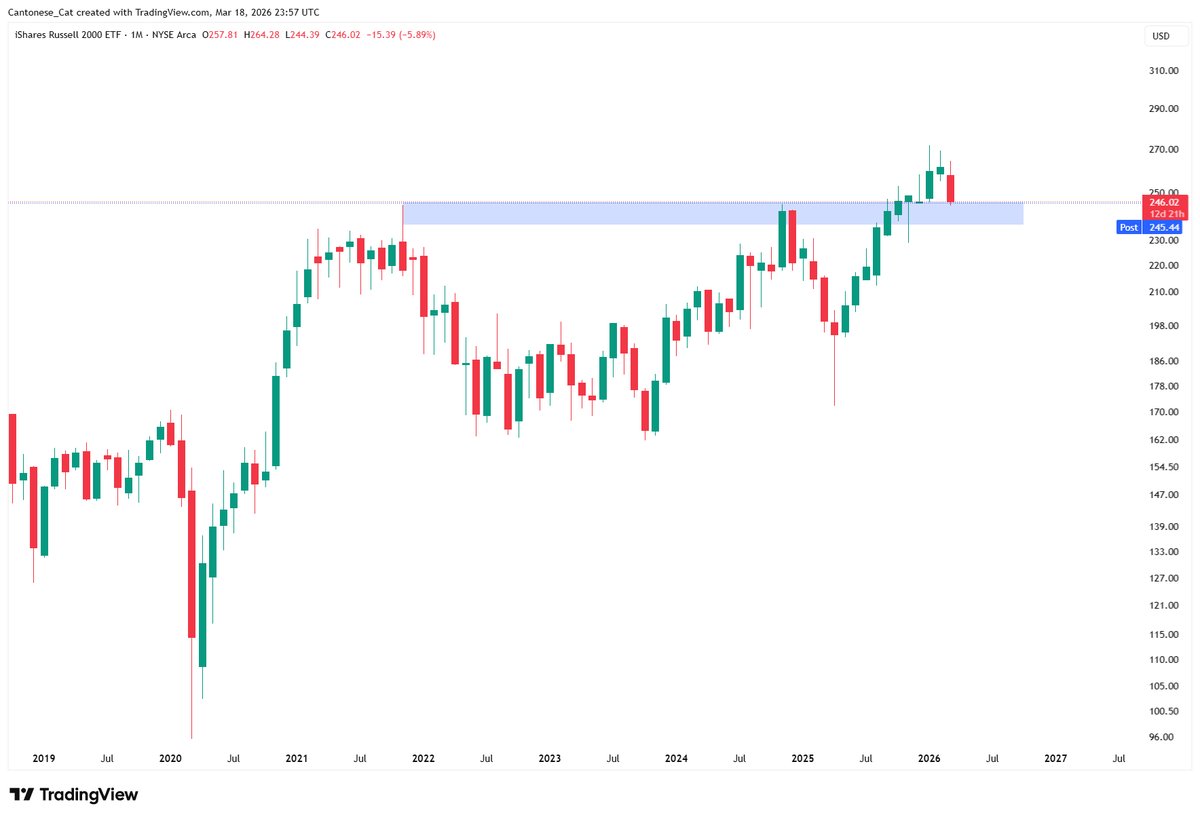 Cantonese Cat 🐱🐈 tweet media
