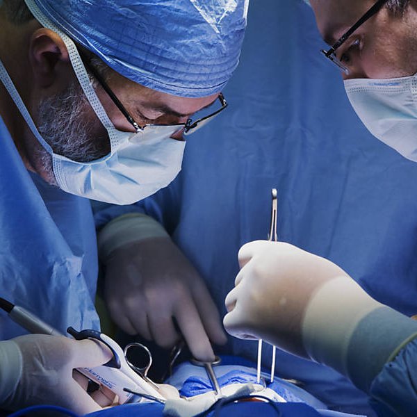 République tweet media