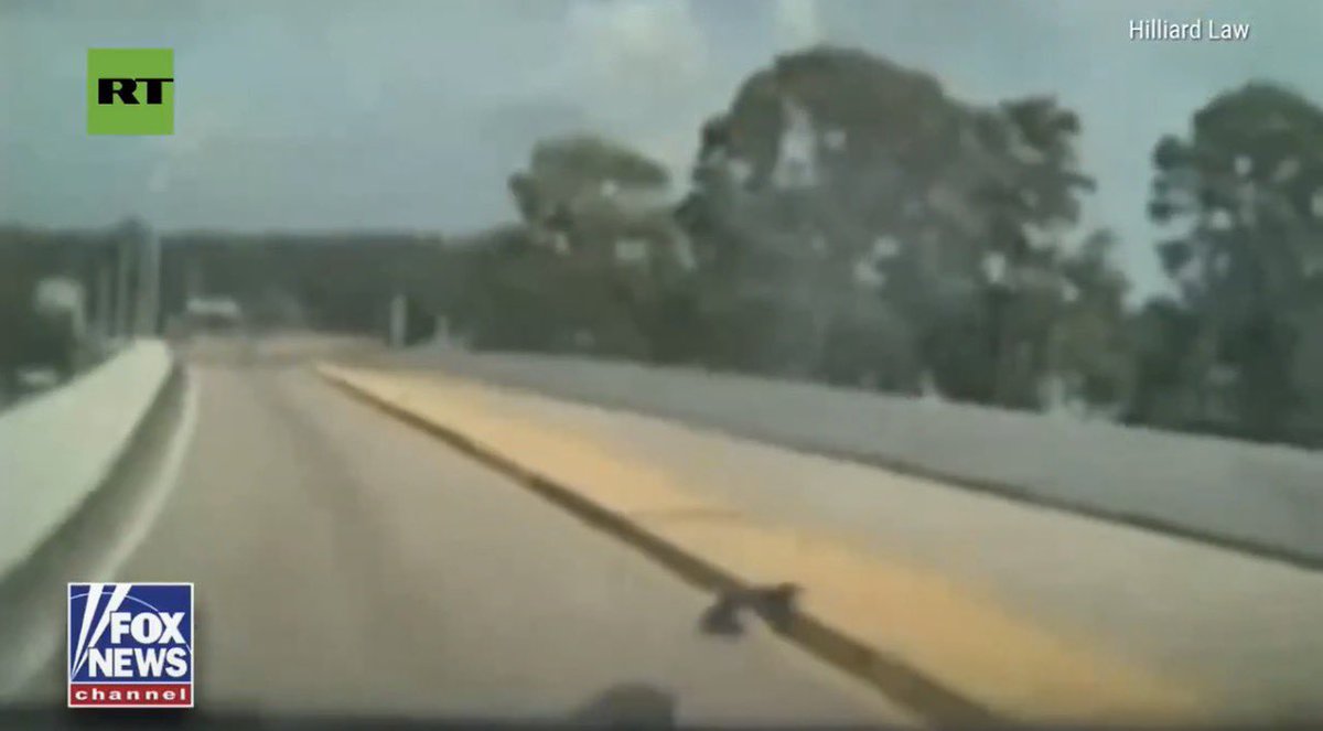 Joshua Stone 🇺🇸 tweet media