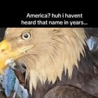 Sigma Malewife tweet media