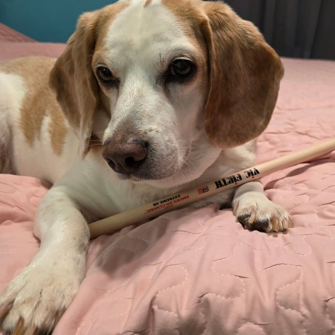 Feel the Love | Bad Omens ʘ 👻 tweet media