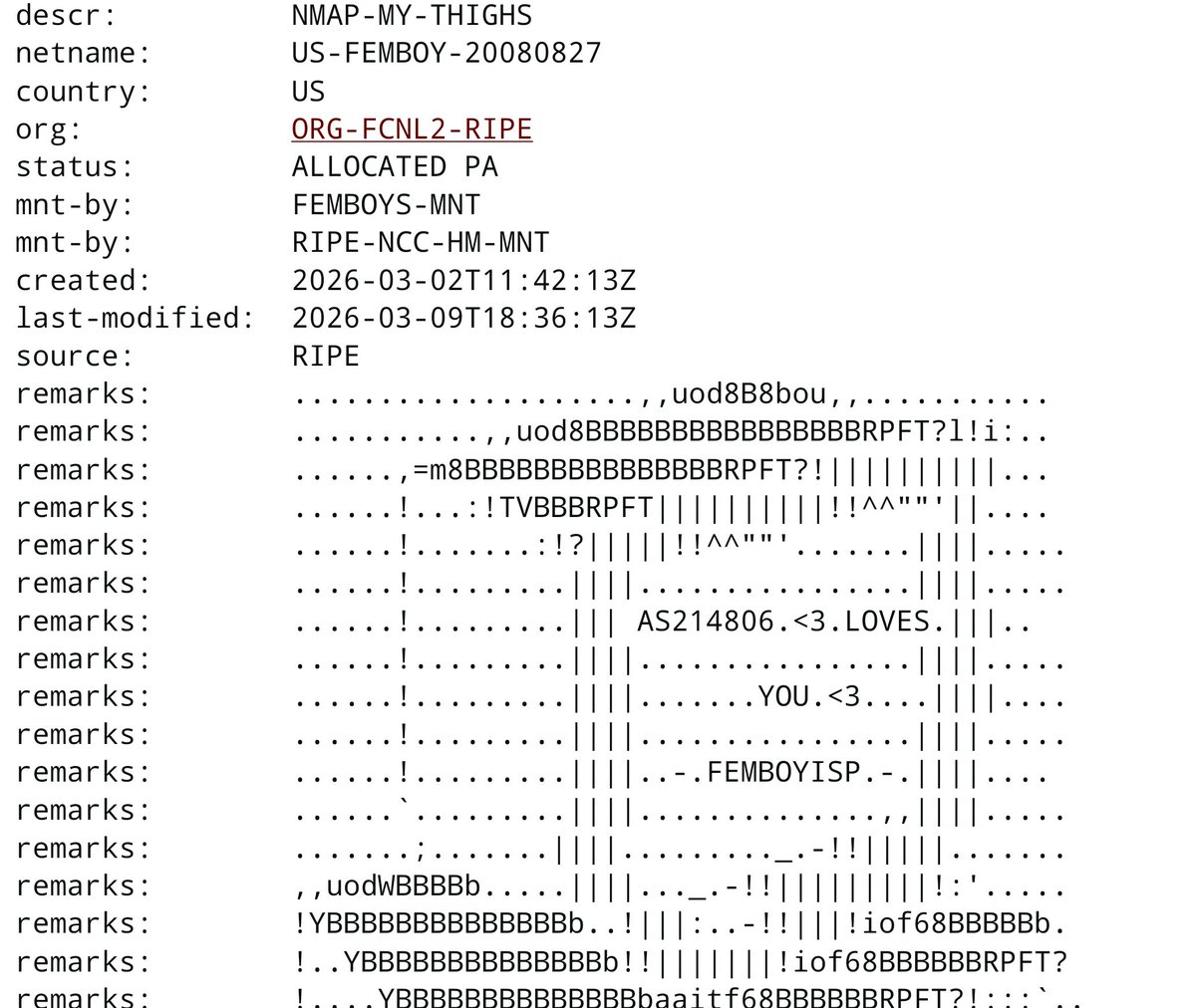 Femboy Cyber Networks tweet media