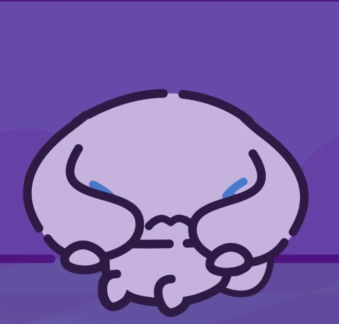 장하오 시나모롤 tweet media