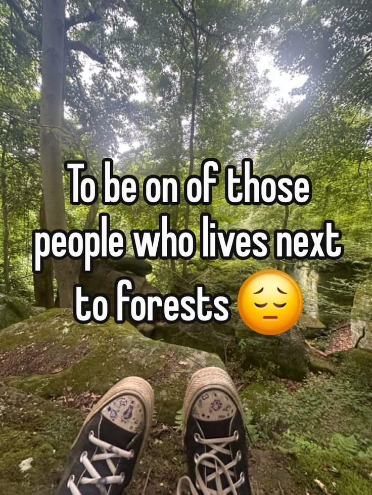 Mountain Cabins tweet media