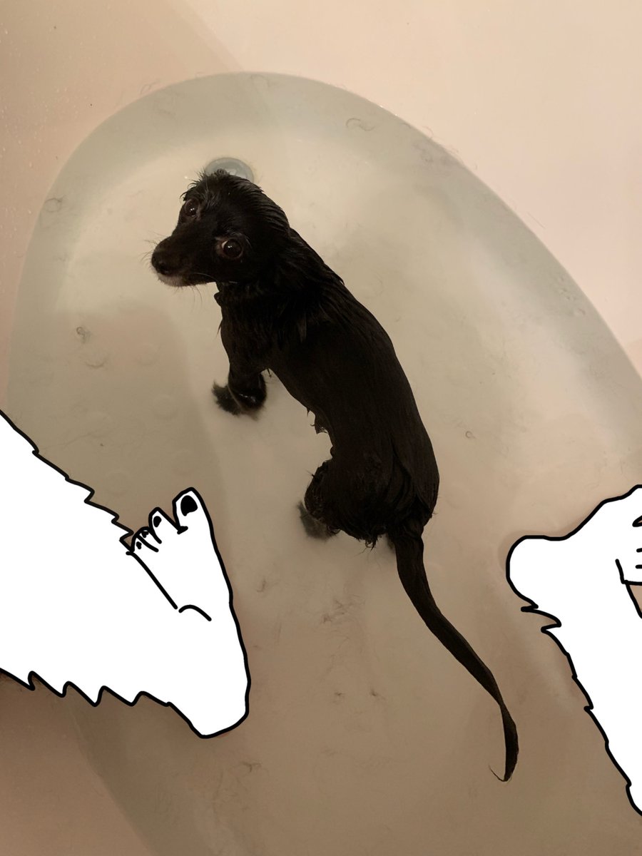 Corey Bucks tweet media