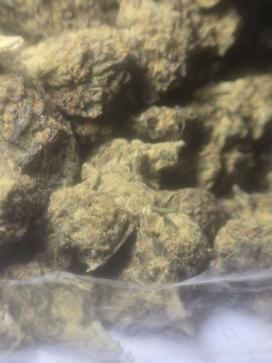 trevour69's tweet photo. MAC‑1 🌿 https://t.co/6nwPXKo3h5