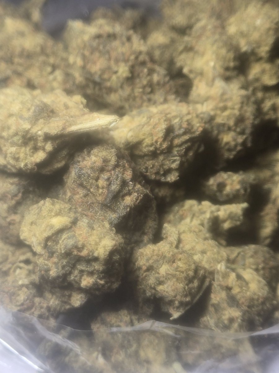 trevour69's tweet photo. MAC‑1 🌿 https://t.co/6nwPXKo3h5