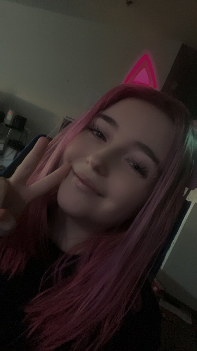 Merowzer🐾🐈 tweet media