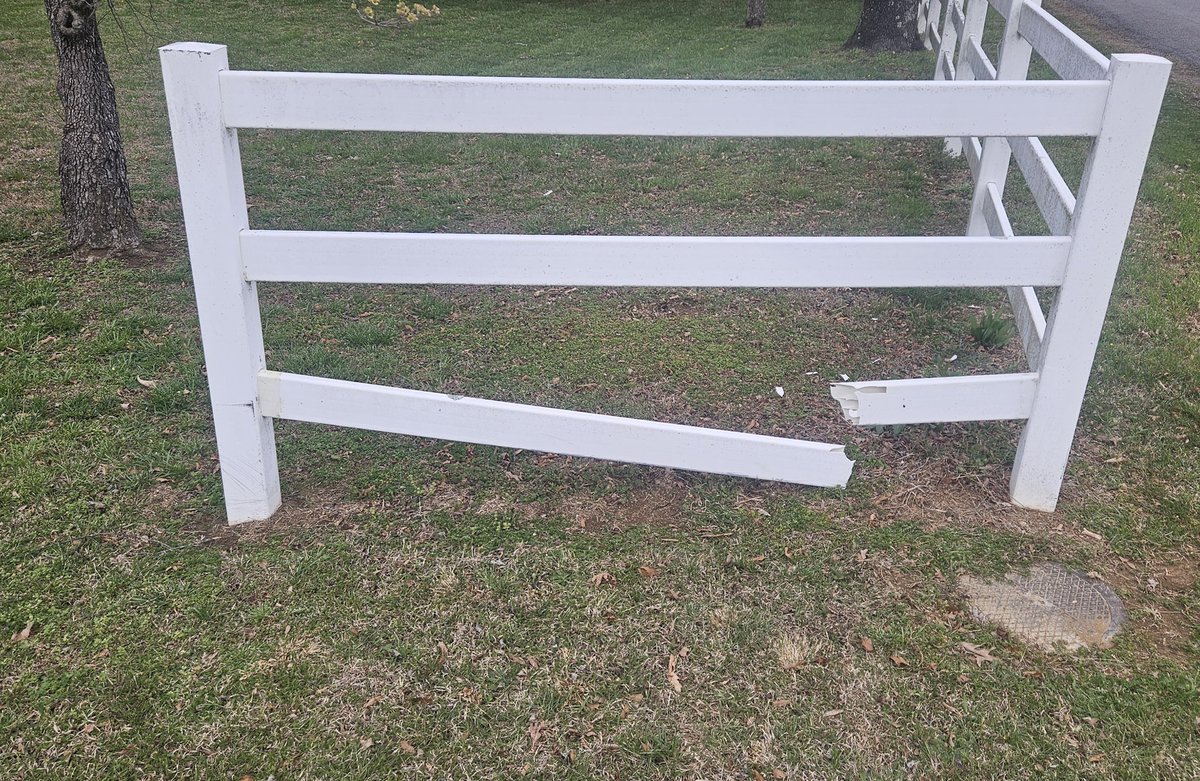 Moose Bro tweet media