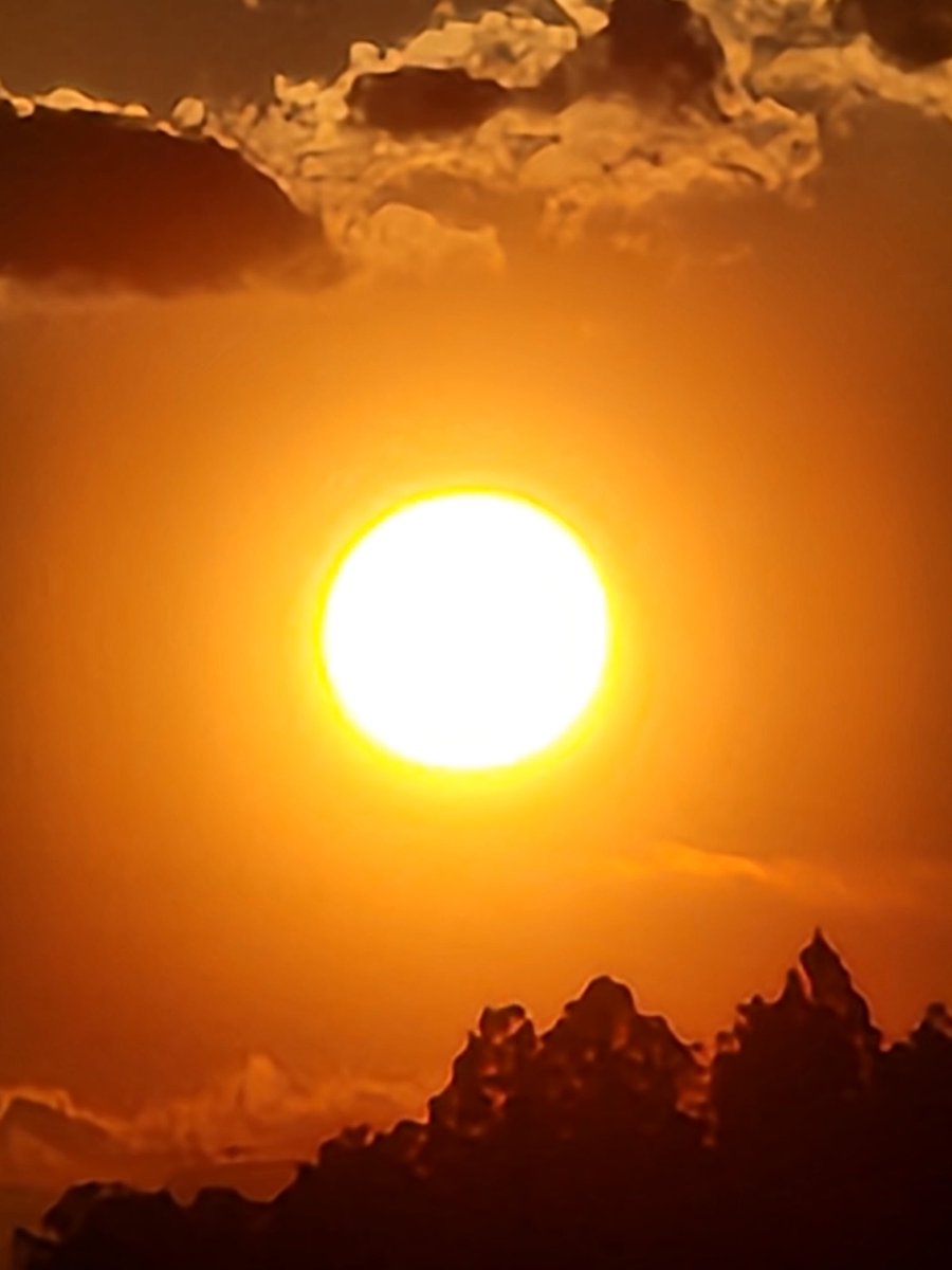 WOOD HOME tweet media