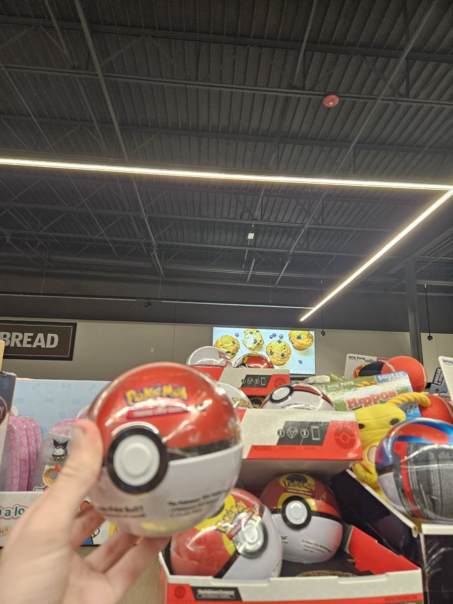 Unsensible tweet media