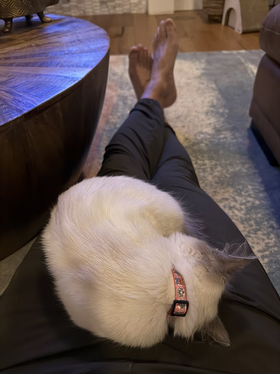 gotoplanb tweet media