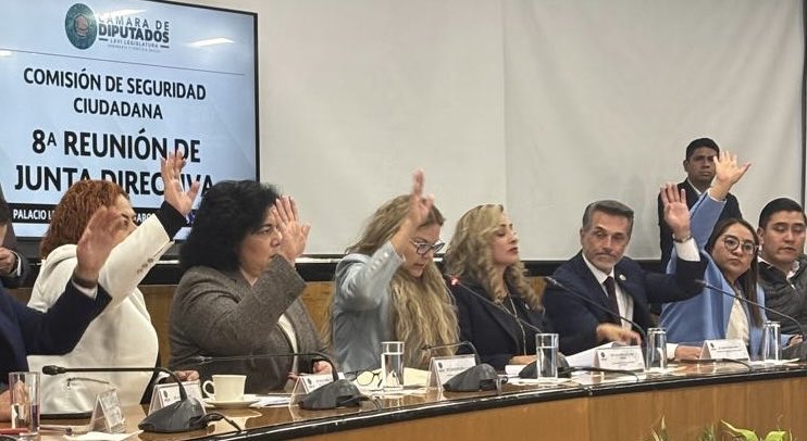 Sergio Mayer B. tweet media