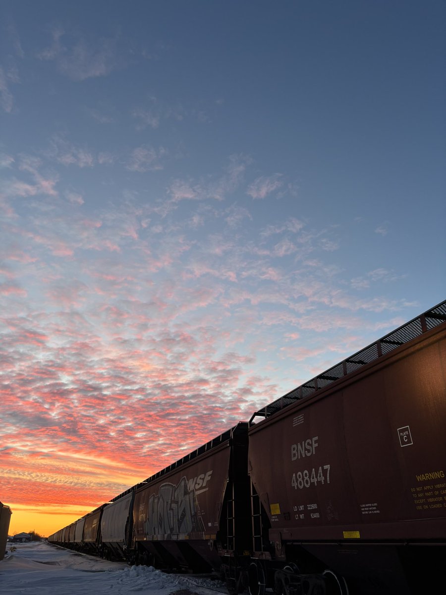 sane grain tweet media