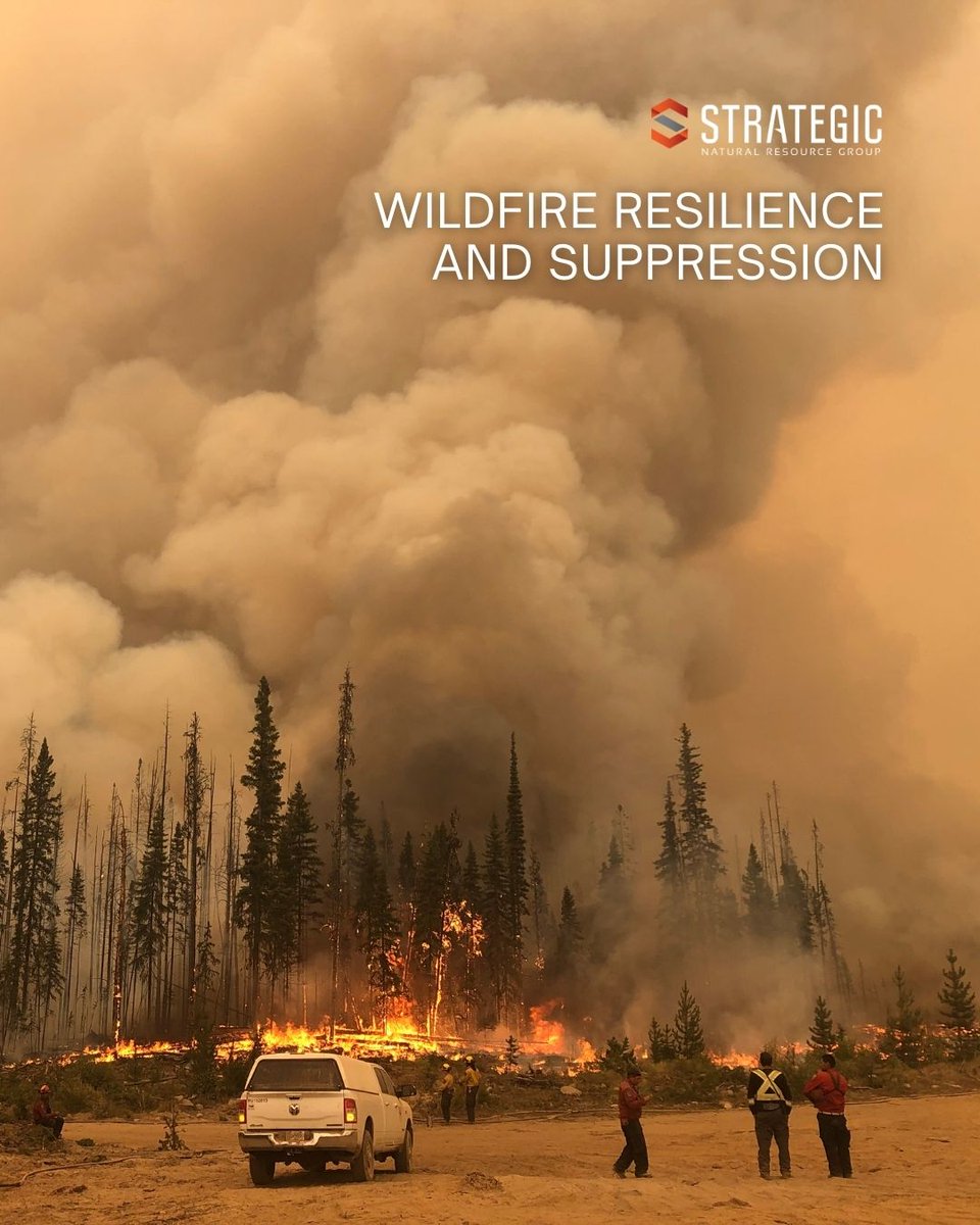 Strategic Natural Resource Group tweet media