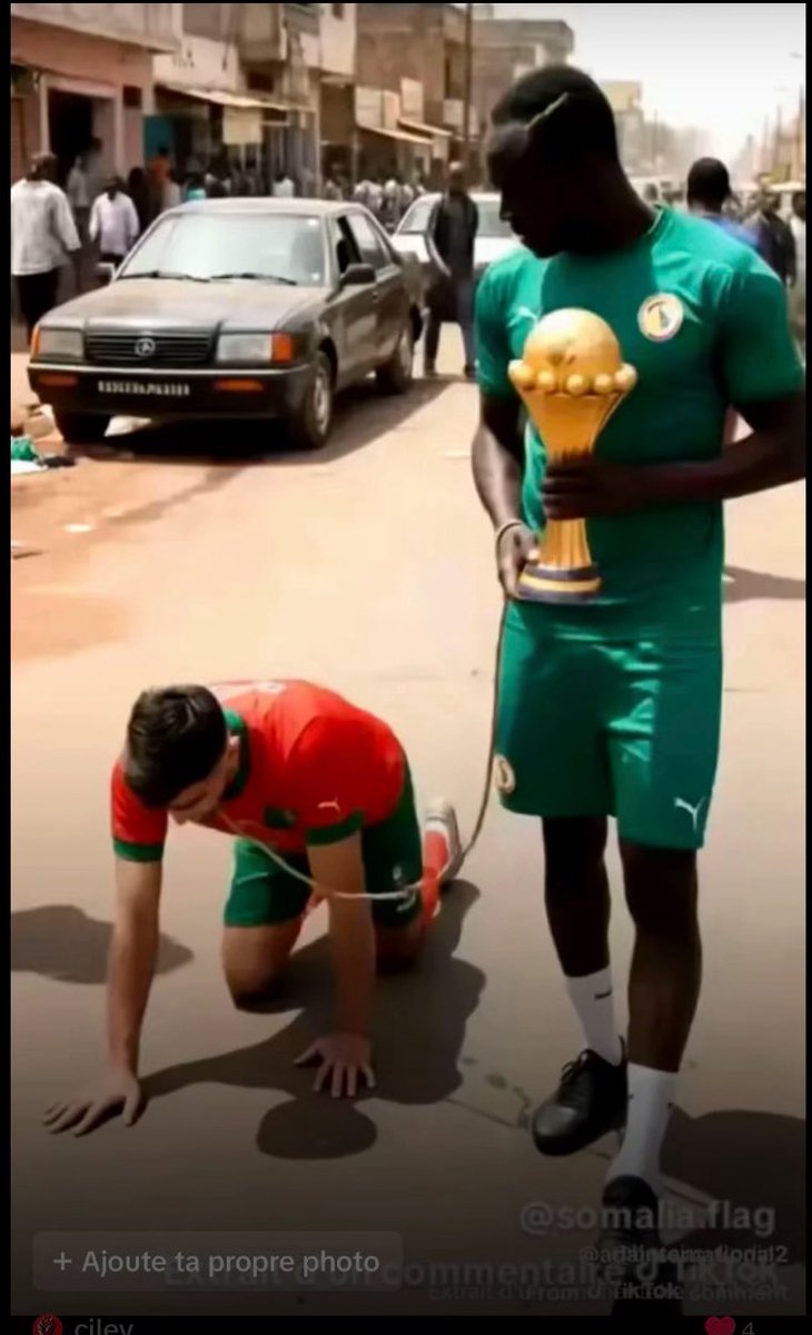 Damya🇸🇳🇩🇿 tweet media