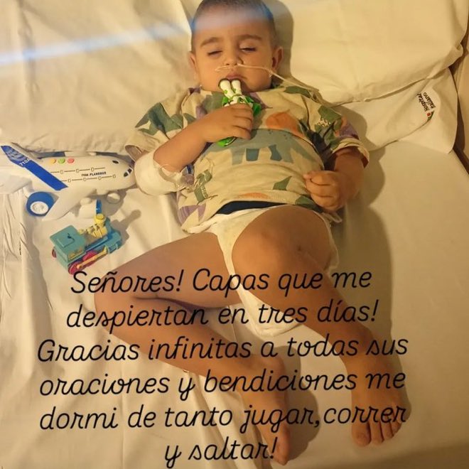 Eloisa Cid tweet media