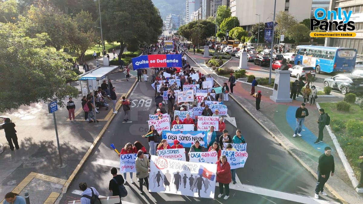 Only Panas tweet media