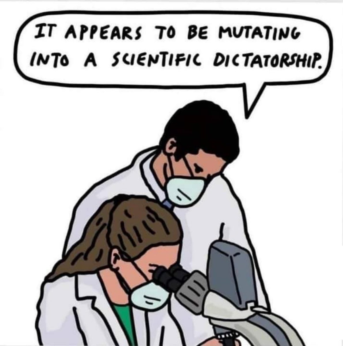 The Rabbit Hole tweet media