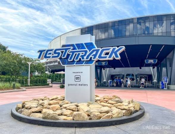 Gecko Guy tweet media