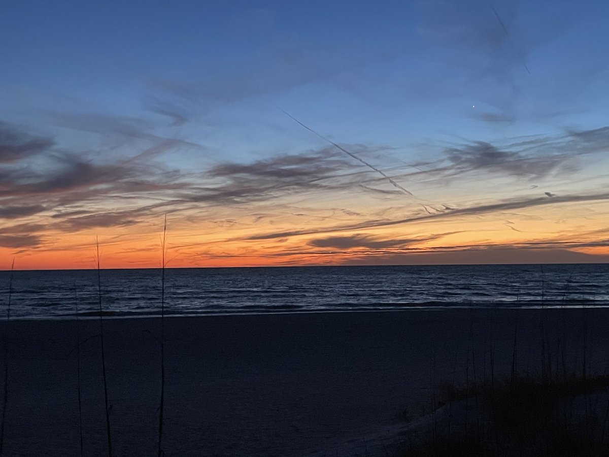 PokéBrad tweet media