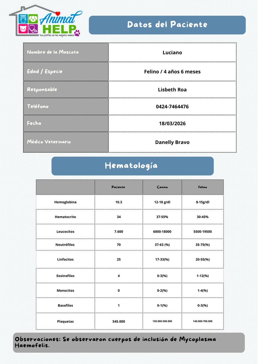 Tamara Davila tweet media