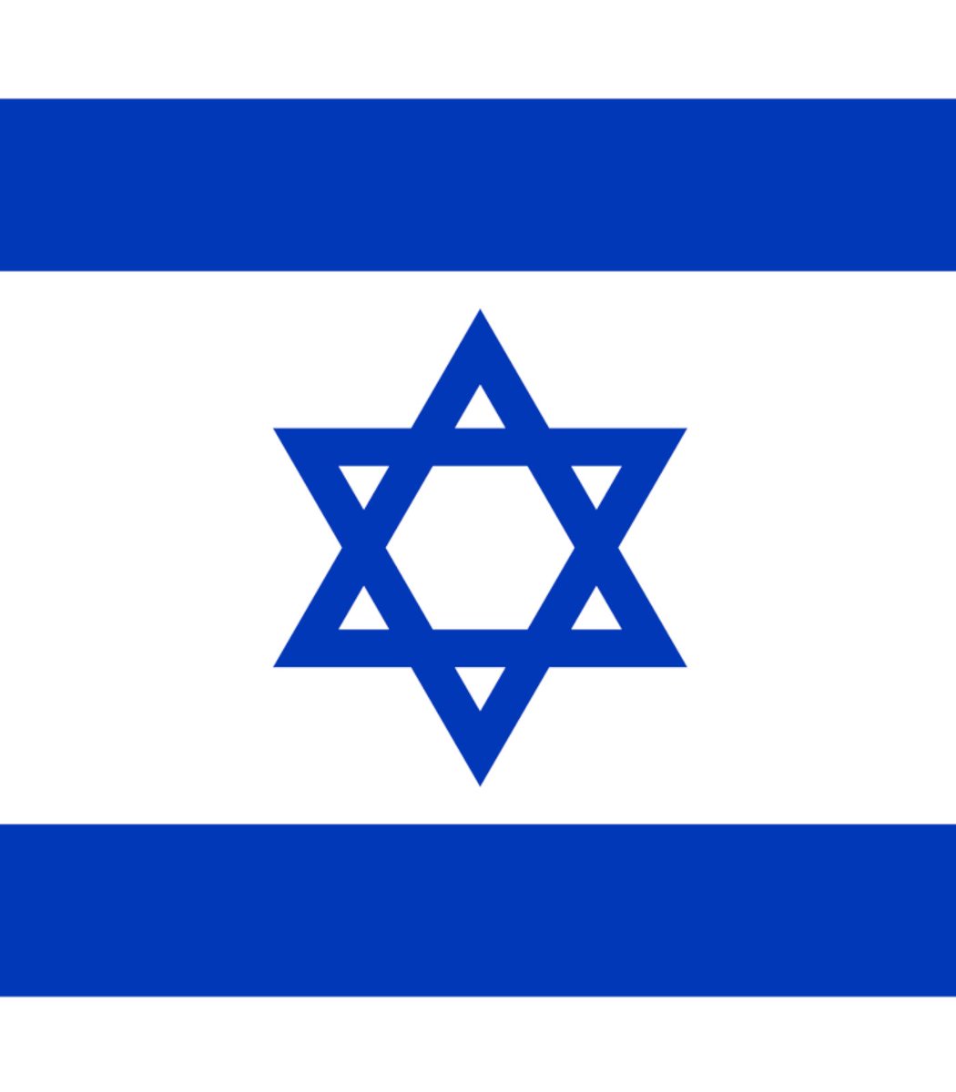 Israel Force tweet media