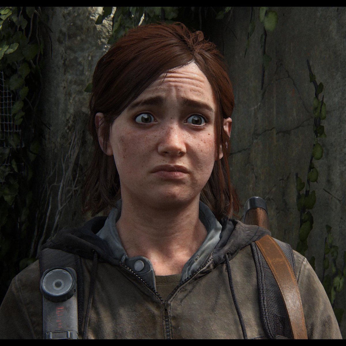 NathanRaider tweet media