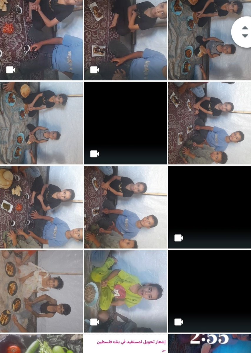 🇵🇸 nope tweet media