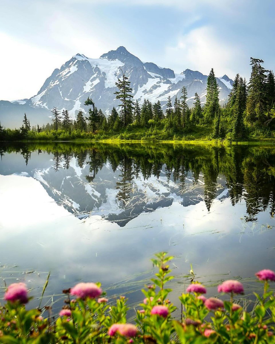 The Earth tweet media