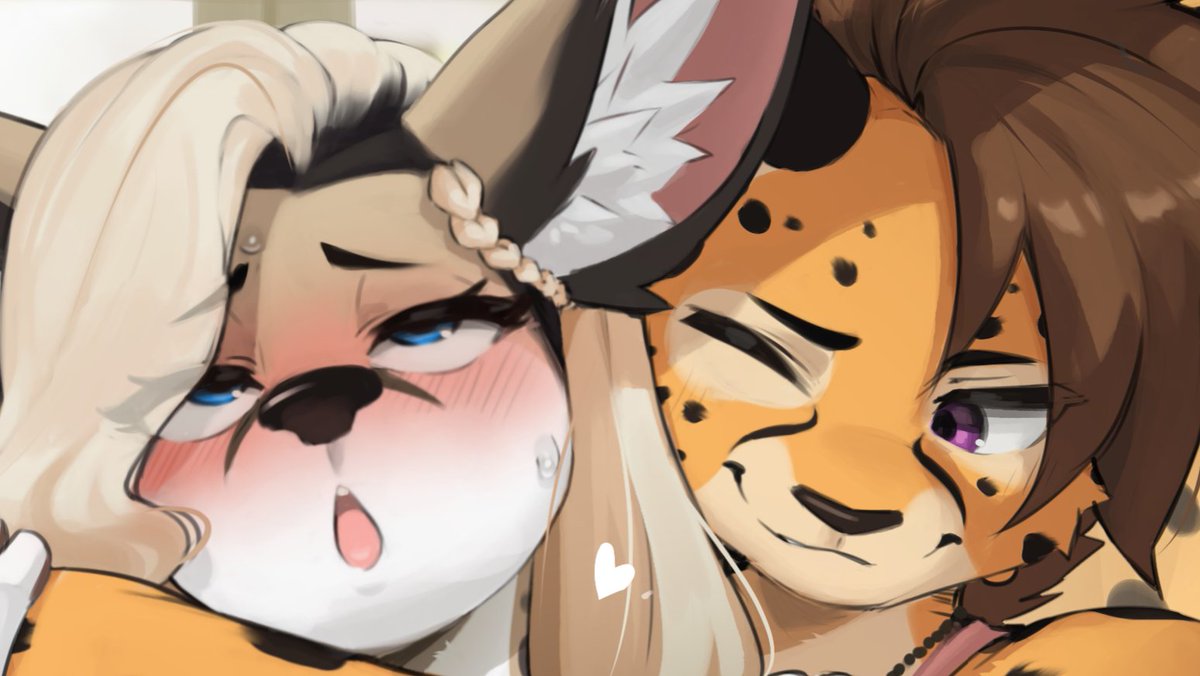 VeloCat 🔜 TFF tweet media