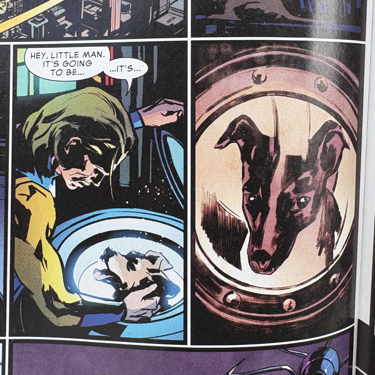 Jay 🌻 tweet media