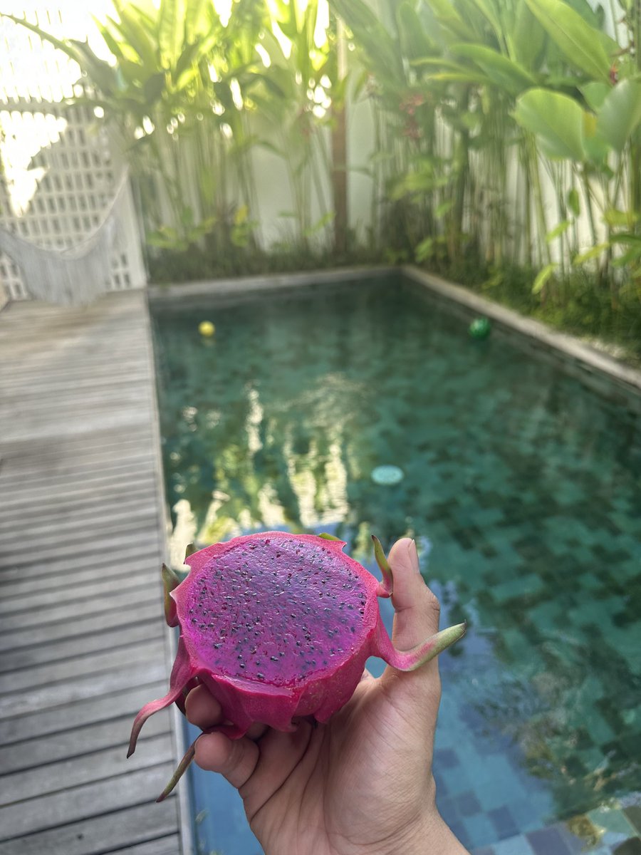 Buyer of Media tweet media