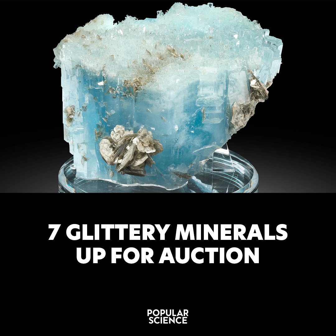 Popular Science tweet media