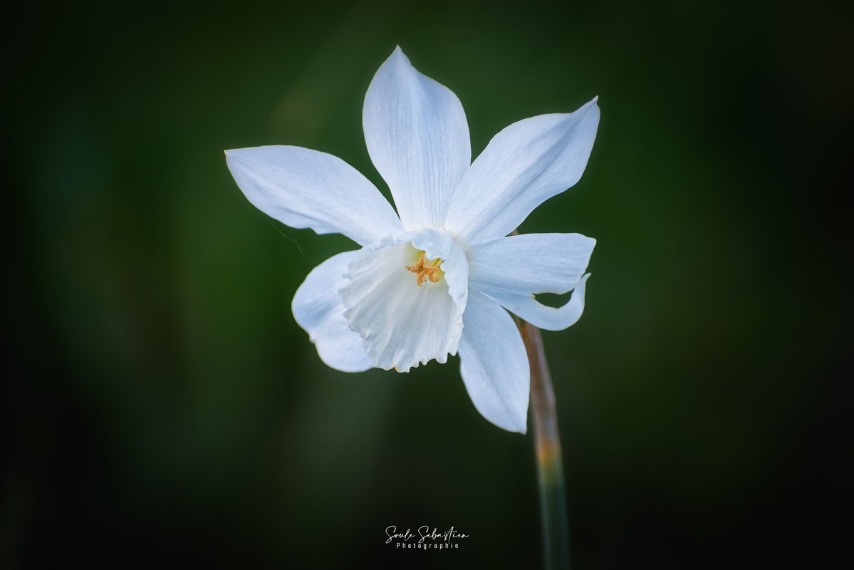 Soule Sébastien tweet media