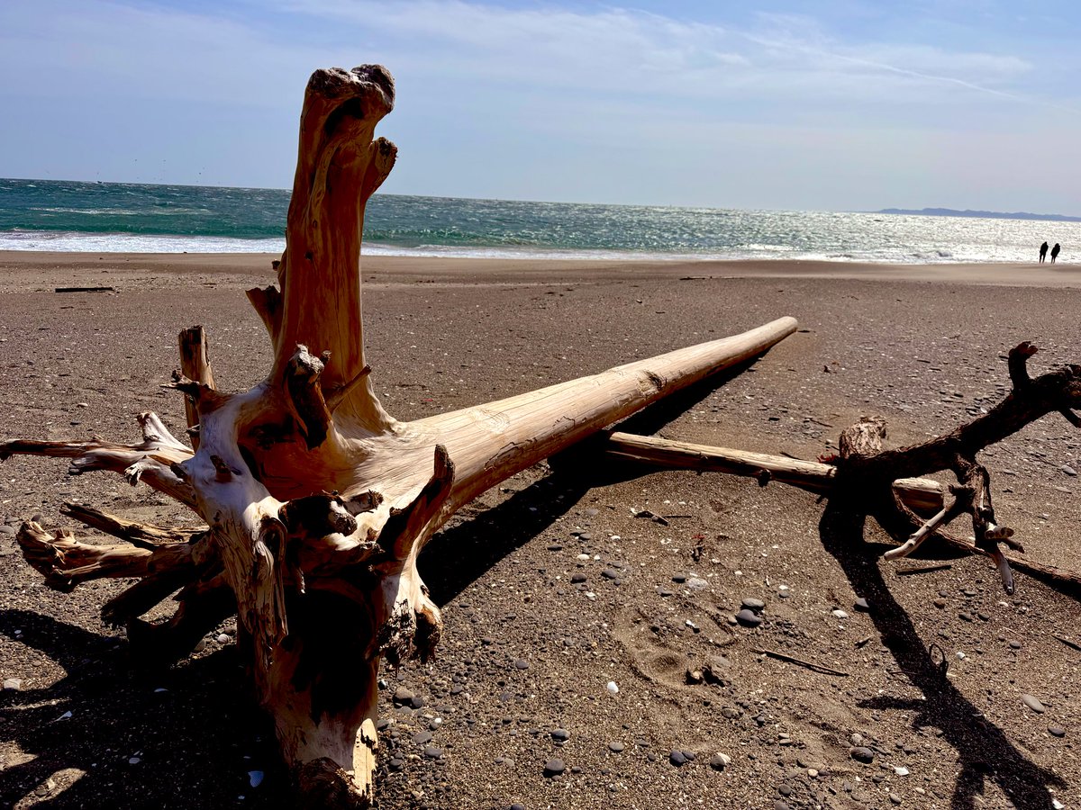 玄照｜適応障害ログ tweet media