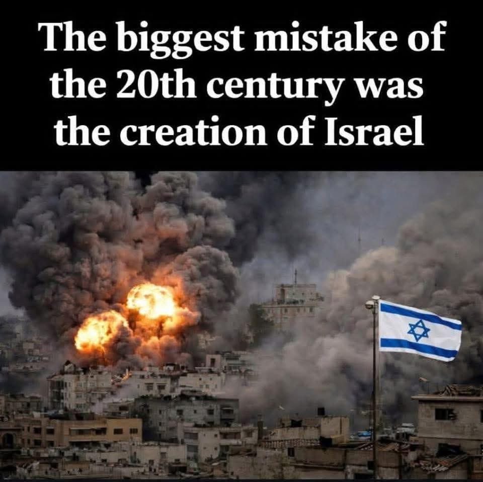 KOREA TV tweet media